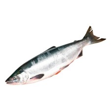 Нерка потрошеная с головой мороженая